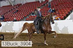 13buck_3904 proof