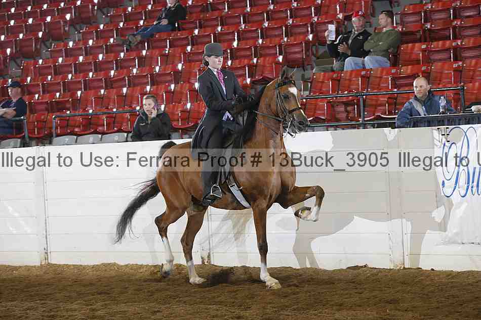 Proof 13buck_3905