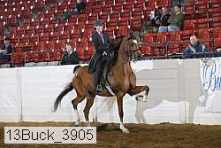 13buck_3905 proof
