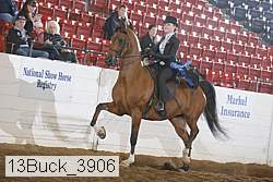 13buck_3906 proof