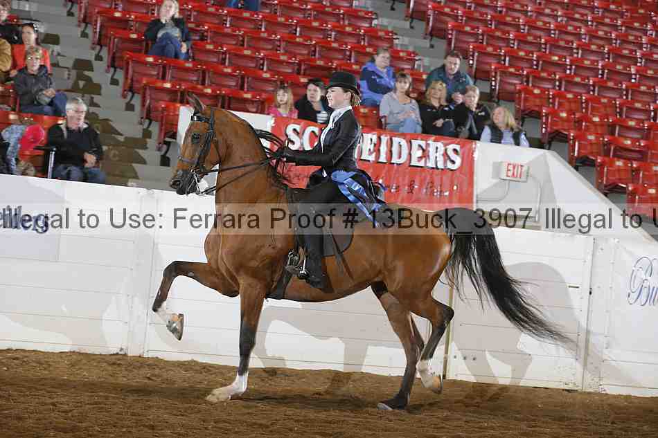 Proof 13buck_3907