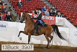 13buck_3907 proof