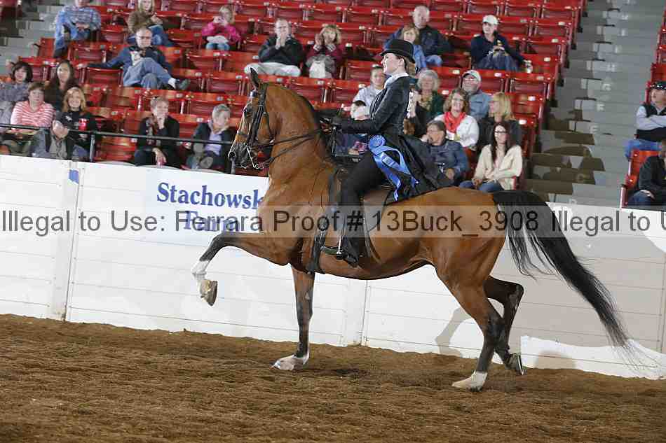 Proof 13buck_3908