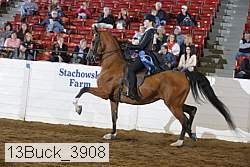 13buck_3908 proof