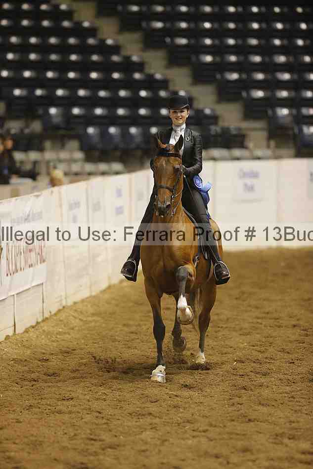 Proof 13buck_3909