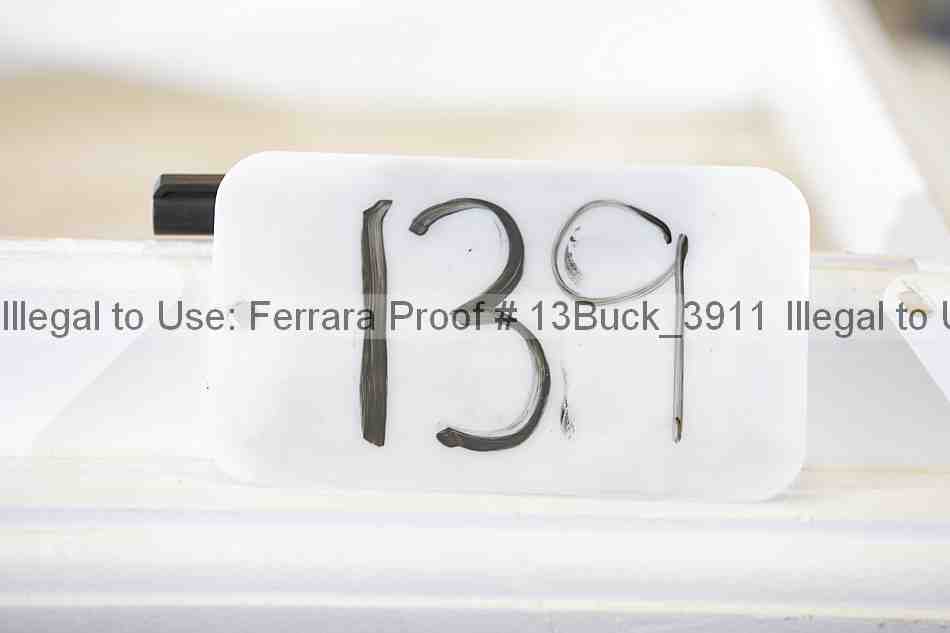 Proof 13buck_3911