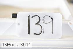 13buck_3911 proof
