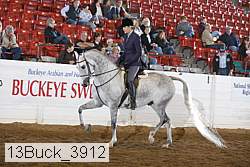 13buck_3912 proof