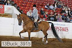 13buck_3915 proof