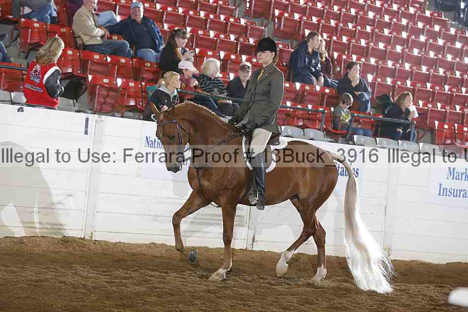 Proof 13buck_3916