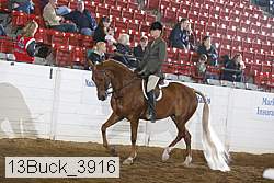 13buck_3916 proof