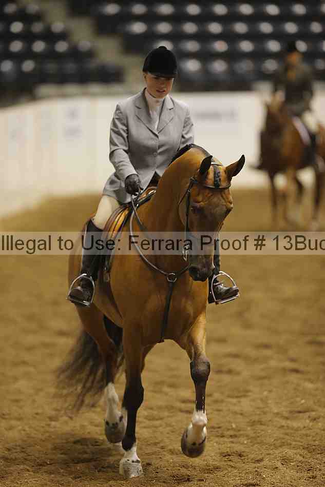 Proof 13buck_3918