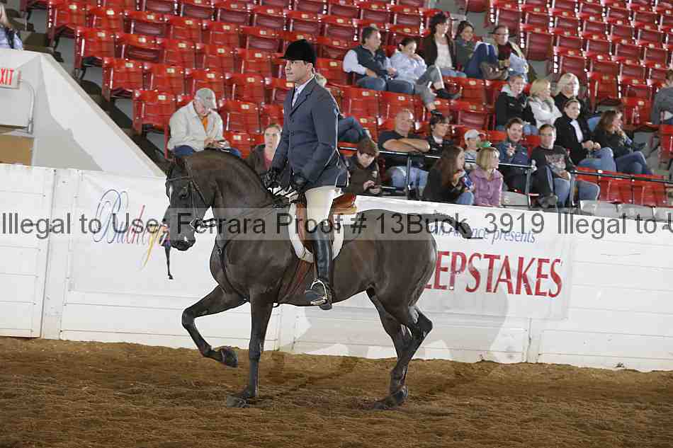 Proof 13buck_3919
