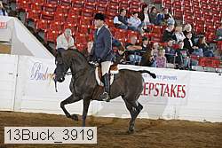 13buck_3919 proof