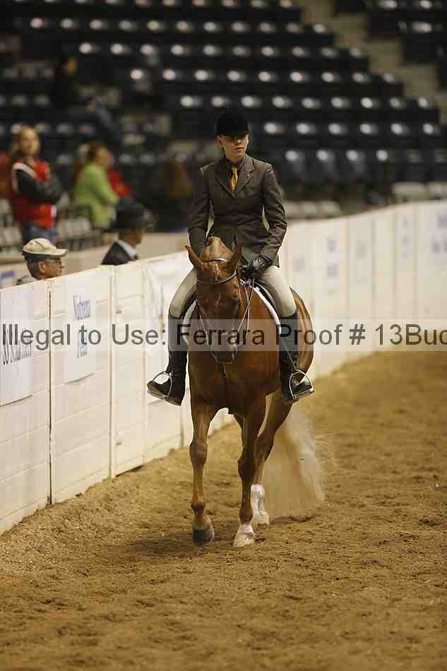Proof 13buck_3920