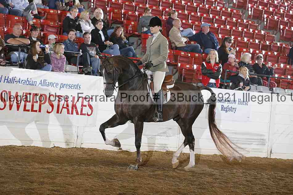 Proof 13buck_3921