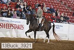 13buck_3921 proof