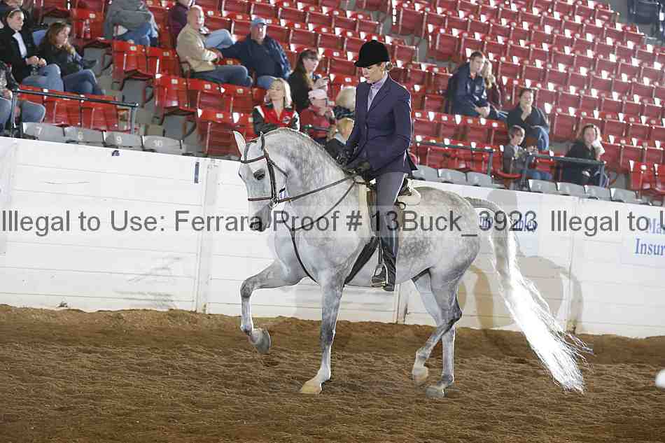 Proof 13buck_3923