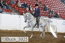 13buck_3923 proof