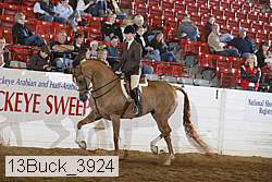 13buck_3924 proof