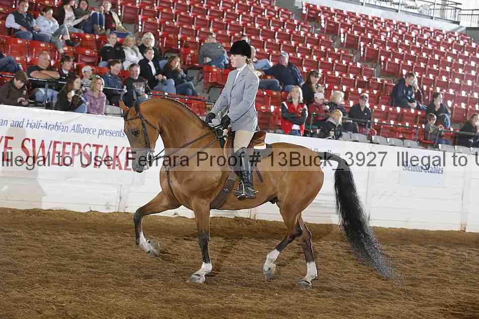 Proof 13buck_3927