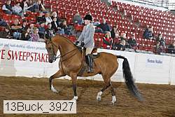13buck_3927 proof