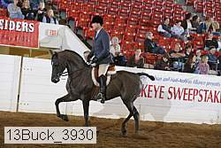 13buck_3930 proof