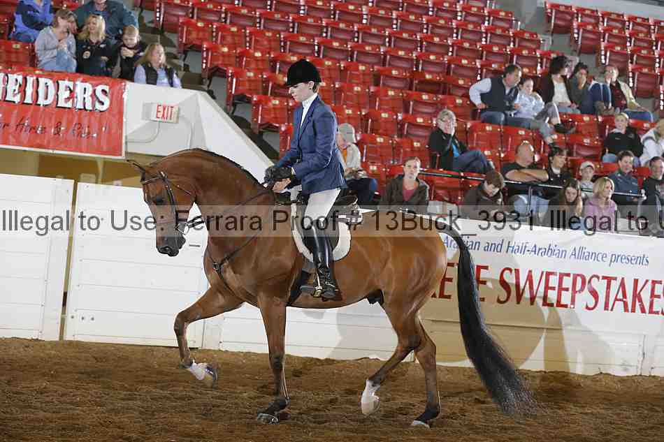 Proof 13buck_3931