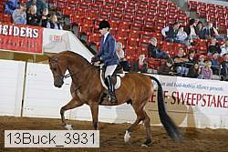13buck_3931 proof