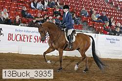 13buck_3935 proof