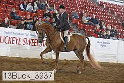 13buck_3937 proof