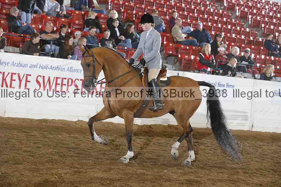Proof 13buck_3938
