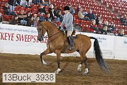 13buck_3938 proof