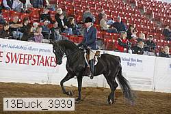 13buck_3939 proof