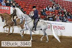 13buck_3940 proof