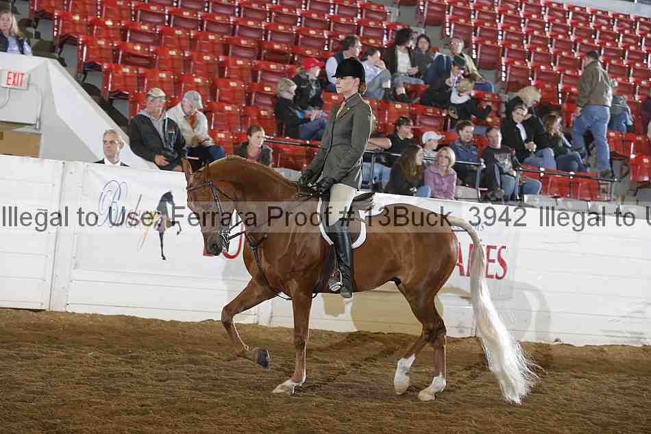 Proof 13buck_3942