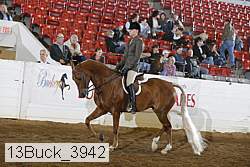 13buck_3942 proof