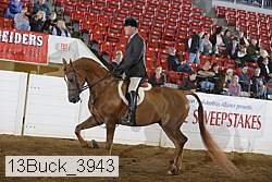13buck_3943 proof