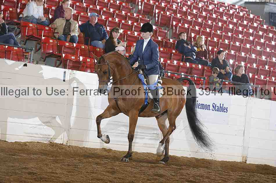 Proof 13buck_3944