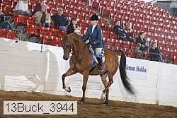 13buck_3944 proof