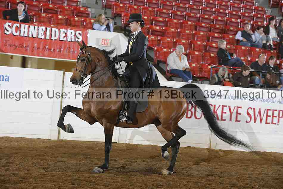 Proof 13buck_3947