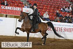 13buck_3947 proof