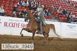 13buck_3949 proof