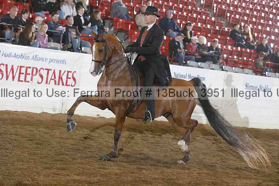 Proof 13buck_3951