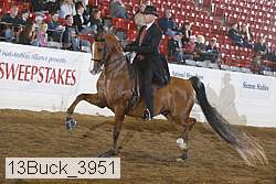 13buck_3951 proof