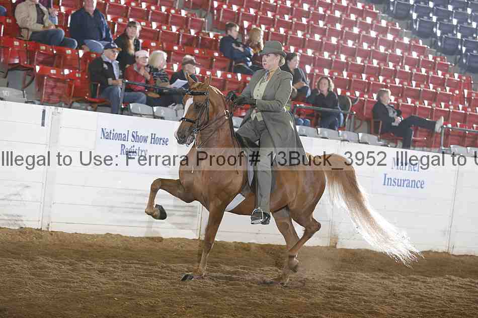 Proof 13buck_3952