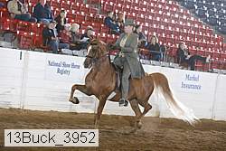13buck_3952 proof