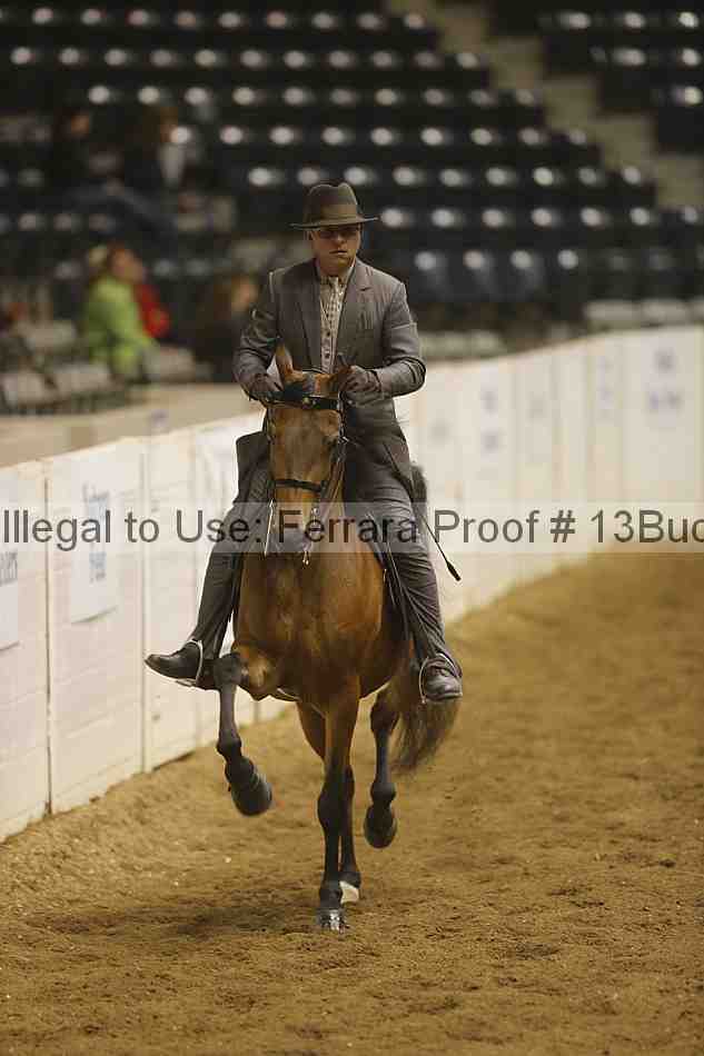 Proof 13buck_3953