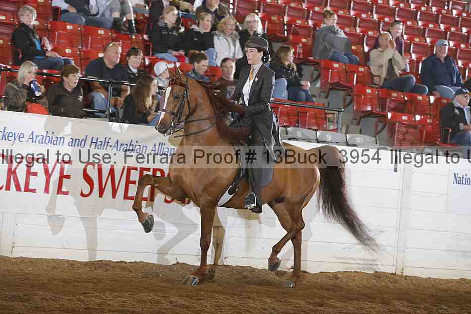 Proof 13buck_3954