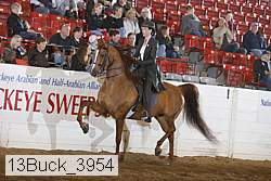 13buck_3954 proof